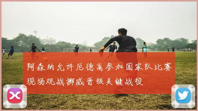 阿森纳允许厄德高参加国家队比赛现场观战挪威晋级关键战役