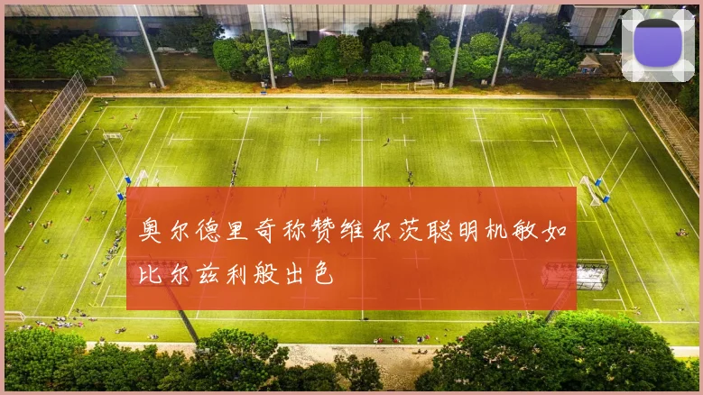 奥尔德里奇称赞维尔茨聪明机敏如比尔兹利般出色