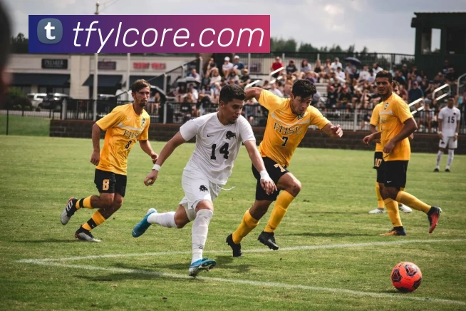 天富娱乐品牌故事